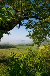 view from Baker Bluff