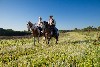 An Appaloosa and a paint horse along the trail
