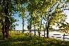 visitors enjoy the view along the TN river