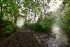boardwalk along the Gordon House site