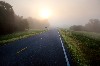 foggy morning along the Natchez Trace Parkway
