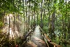 Cypress Swamp, milepost 122
