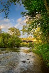Creek along the Natchez Trace Parkway