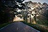 morning light, milepost 120