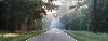 Large trees border the Natchez Trace, milepost 120