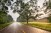 Morning light, Natchez Trace Parkway
