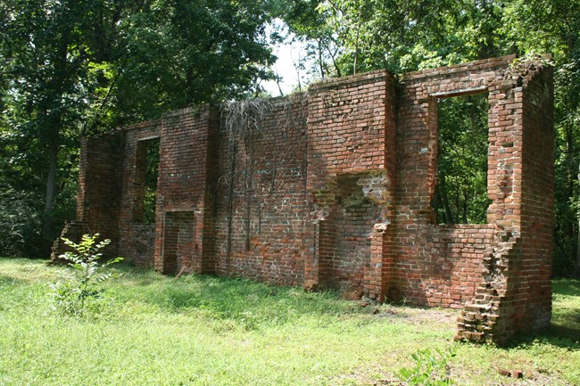 A brick wall stands in the woods