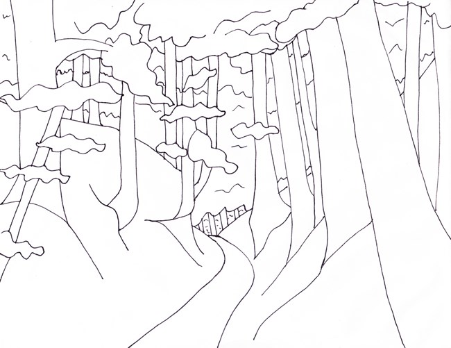 black line drawing representing the Sunken Trace. Trees line each side of the sunken trace.