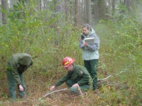 Fire effects monitoring crew analyzing a prescribed burn unit.