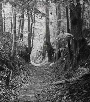 Portion of Sunken Trace image from Cleghorn Photo Exhibit.