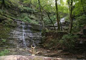 Jackson Falls