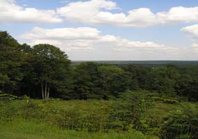 Little Mountain Overlook