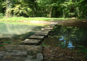 A view of the stepping stones at the Rock Spring Nature Trail.