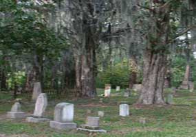The Rocky Springs Cemetery contains old trees covered with Spanish Moss.