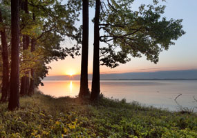 Ross Barnett reservoir, morning light Copyright Marc Muench