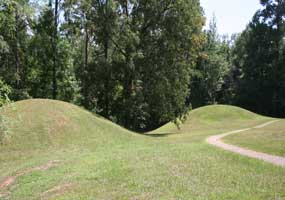 Bynum Mounds