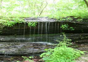 A small waterfall on Fall Hollow.