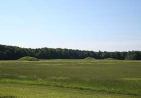 Three of the eight mounds at the Pharr Mounds site.