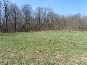 The Carter Road Parking area provides a large grassy area for parking horse trailers.