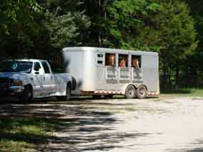The Hwy 43 trailhead is large enough for multiple horse trailers. 