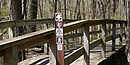 The Tupelo Trail in Mississippi is one of the four sections of National Scenic Trail in the park.