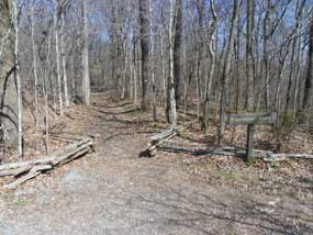 The trail from the parking lot takes you on the historic Natchez Trace.