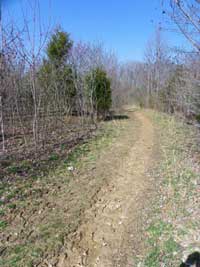 The Leipers Fork Section of the National Scenic Trail at the Tennessee Valley Divide Trailhead.