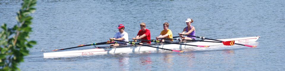 Image of Rowers on River