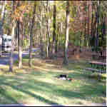 a campsite in the Greenbelt Park, Maryland campground