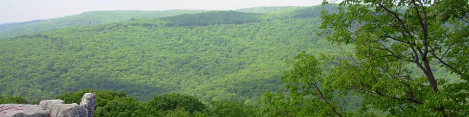 Catoctin Mountain 