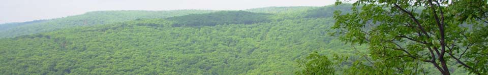 Catoctin Mountain 