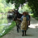 Canal Boats