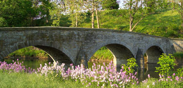 Spring flowers along stone wall at Burnside Bridge