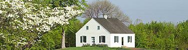 Dunker Church and a flowering dogwood
