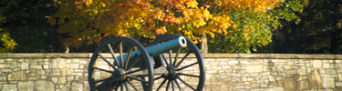 Cannon with fall colors