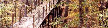 Fort Dupont Park bridge on a fall day.