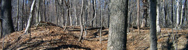 Earthworks at Fort Marcy Park.