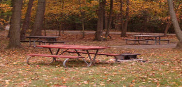 a campsite in the Greenbelt Park campground