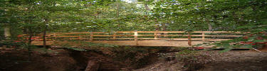 a picture of the new bridge on the perimeter trail built by the Greenbelt Park maintenance staff and REI volunteers