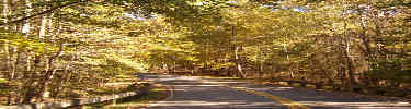Fall colors on road 2005