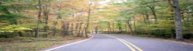 Fall colors in Greenbelt Road