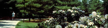 A hiker in LBJ Grove