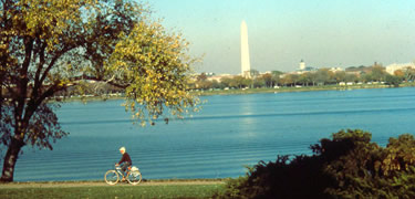 Biker on Mount Vernon Trail