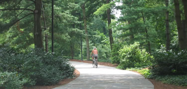 Bike rider on a trail along the GW Parkway