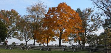 Fall foliage at Battery Heights