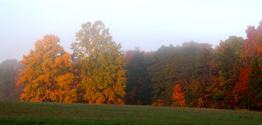 Fall color Henry Hill