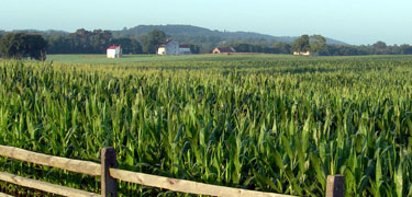 Best Farm, Monocacy National Battlefield (facing southwest)