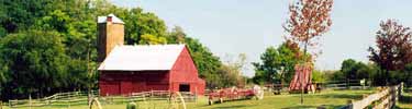 dairy barn in the fall