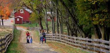 Enjoying a stroll through Oxon Cove Park