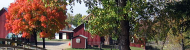 farm in the fall
